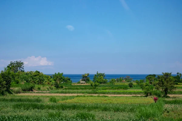 Paisaje Playa Balinesa Lugar Soleado Con Cielo Azul — Foto de Stock