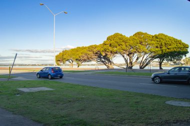 Güneşli bir günde Perth Körfezi