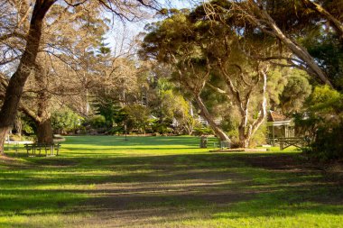 Danimarka'da bir parkın manzarası