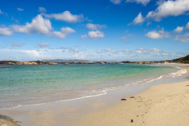 Yeşiller Danimarka Batı Avustralya havuz