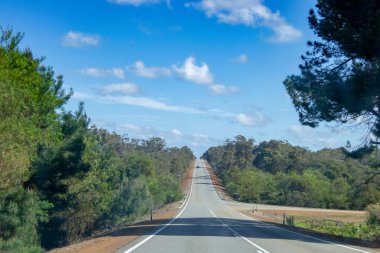 Danimarka yoluna giden yol