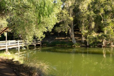 Gün batımında Perth parkında güzel bir göl.