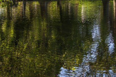 Hide Park göl manzara