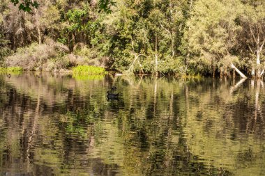 Hide Park göl manzara