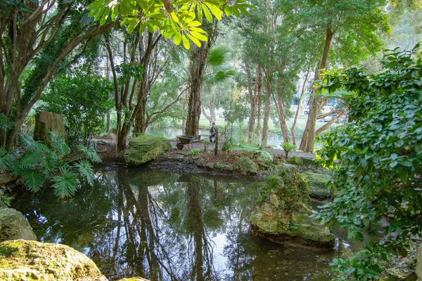 Naturaleza Ciudad — Foto de Stock