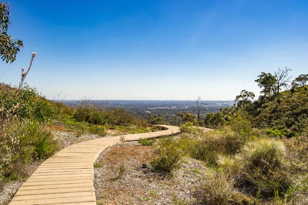 Mungedurfde State Forest Perth Landschap — Stockfoto