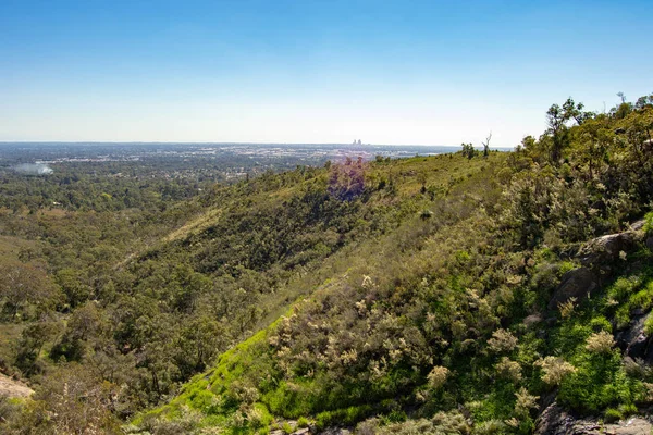 Mungedurfde State Forest Perth Landschap — Stockfoto