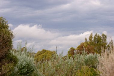 Bitki örtüsü peyzaj ve bulutlar