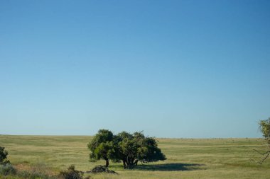 Lancelin için gidiş yol manzara