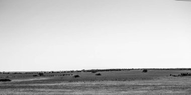 İzole yer siyah ve beyaz