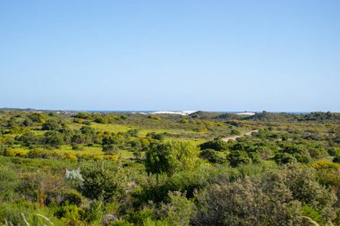 Lancelin için gidiş yol manzara