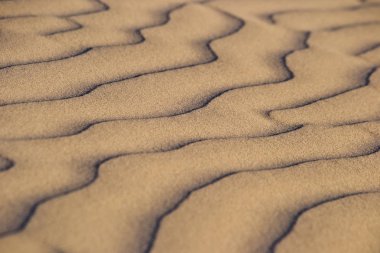 Lancelin suset ışıklarında güzel kumulları