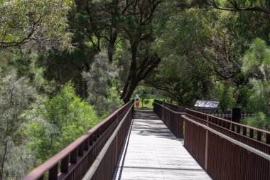 Kings park köprü Botanik Bahçeleri