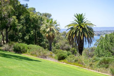 Kings park şehir manzarası