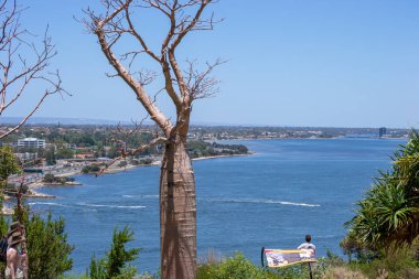 Ağaç dalları ve mavi gökyüzü