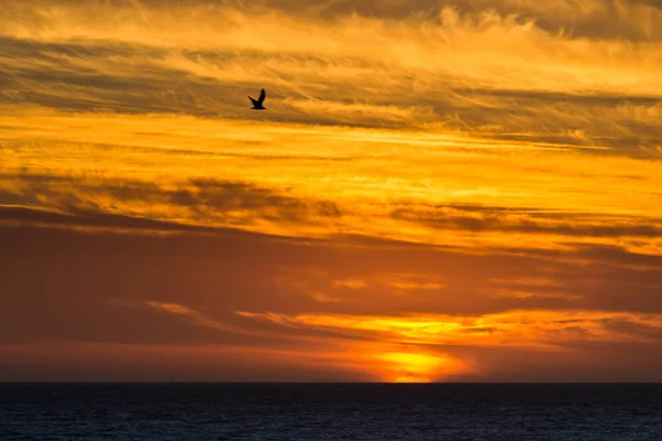 Orange Sky Tramonto Con Couds — Foto Stock