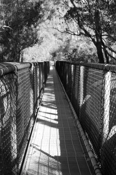 Ponte Serpentina Cai Arround Natureza — Fotografia de Stock