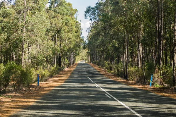 Landschaft Einer Einsamen Straße Bei Mundaring — Stockfoto