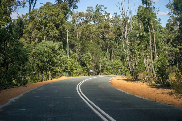 Einsame Straßenlandschaft Mit Vielen Bäumen — Stockfoto