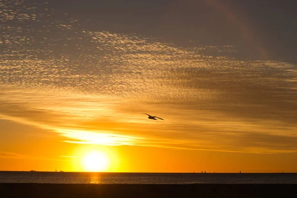 Sunset Landscape Beach Perth Fremantle — Stock Photo, Image