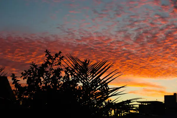 Silouette Cityscape Hora Pôr Sol Com Cor Céu Laranja — Fotografia de Stock