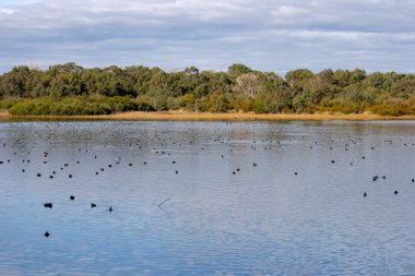 Bibra göl rezerv manzara