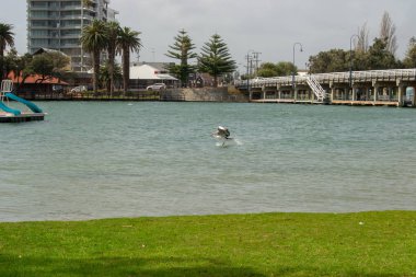 Perth çevresinin peyzaj