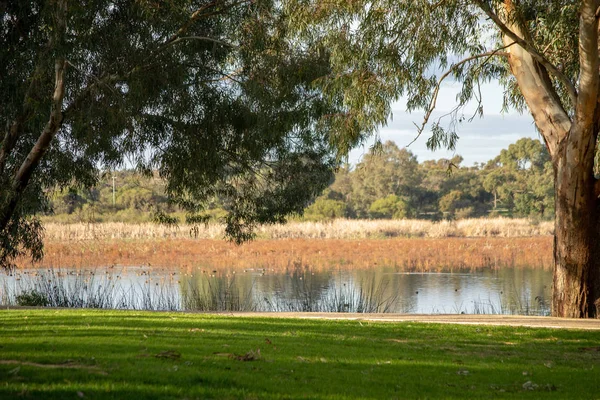 Bibra göl rezerv manzara