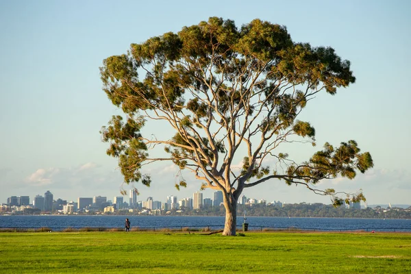 Perth Applecross üzerinden manzara