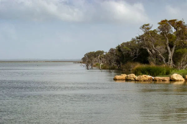 Perth Otoczenie Krajobraz Natura — Zdjęcie stockowe