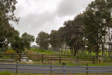 Perth çevre outback yeşil doğa bulutlu gün peyzaj