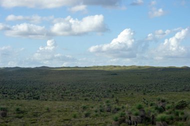 Yeşil manzara Perth outback