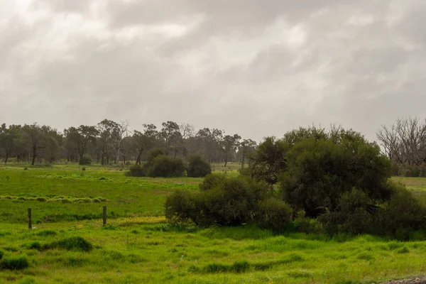 Landskapet Perth Omgivningar Outback Grön Natur Molnig Dag — Stockfoto