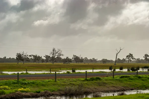 Krajobraz Perth Outback Otoczenie Zieleni Pochmurny Dzień — Zdjęcie stockowe