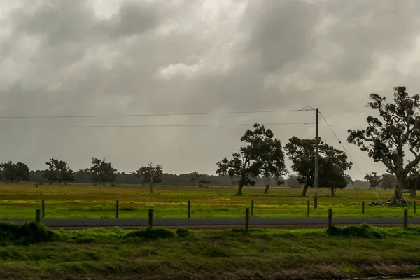 Landschaft Von Perth Umgebung Outback Grüne Natur Bewölkt Tag — Stockfoto