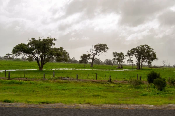 Landskapet Perth Omgivningar Outback Grön Natur Molnig Dag — Stockfoto