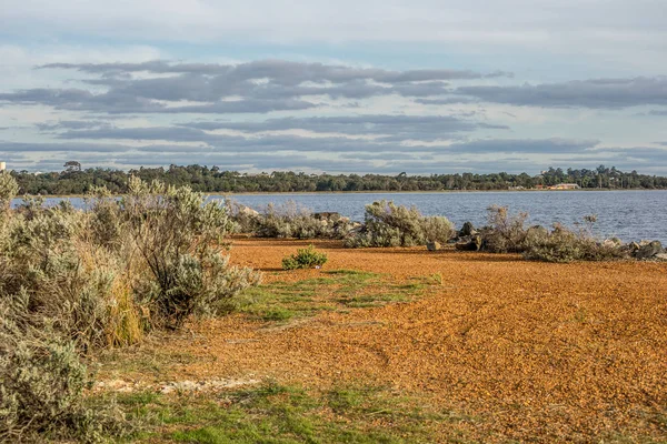 Krajobraz Bunbury Australind — Zdjęcie stockowe