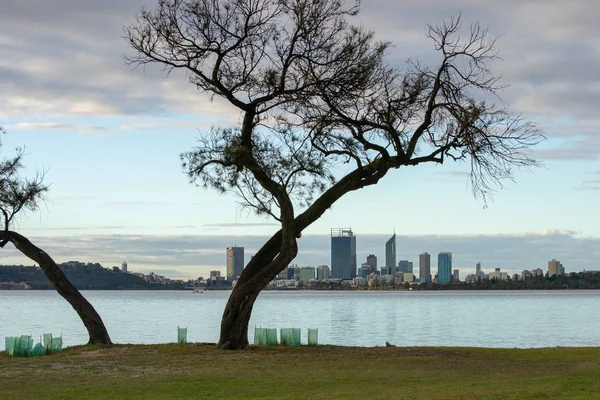 Landscape Perth City Sunset Stock Picture