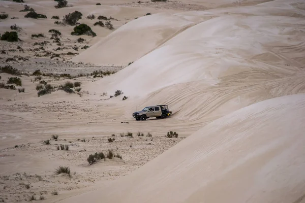 Landskap Sanddyner Desertisk Plats Nära Stranden Australien — Stockfoto
