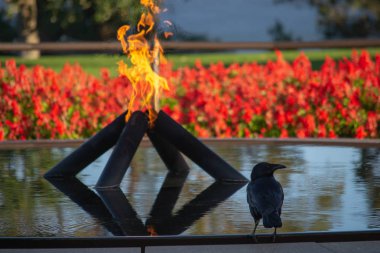 Renklerle dolu çeşmede yangın krallar parkı