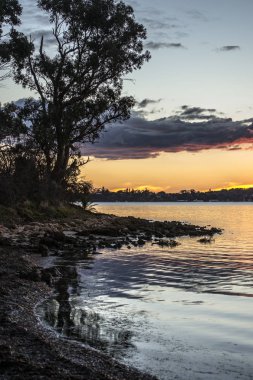 Gün batımında kuğu nehir manzara