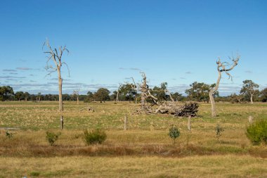 Plaja yakın güzel Avustralya mimarisi