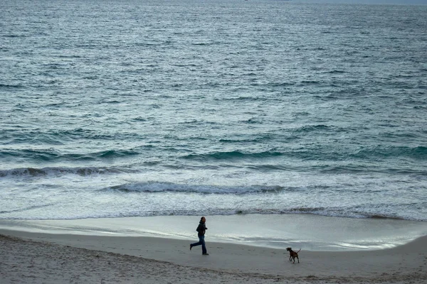 男と彼の犬のビーチの風景 — ストック写真