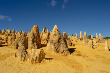 Mavi gökyüzü ile Pinacles manzara tatlı