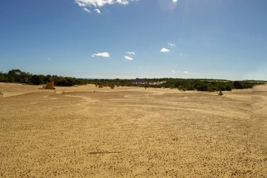 Öğleden sonra mavi bir gökyüzünde Pinacles manzara