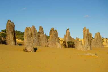 Öğleden sonra mavi bir gökyüzünde Pinacles manzara