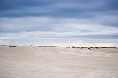 Avustralya plajına yakın ıssız bir yerde kumulların manzarası
