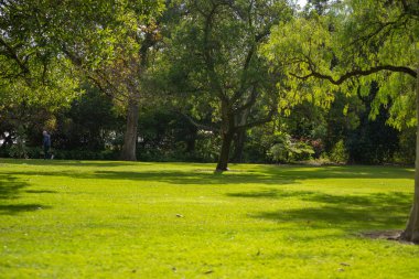 Kings Park Peyzaj , yeşil ve doğa sahnesi
