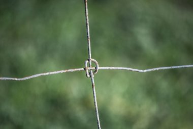 Bir çit düğümü dettail