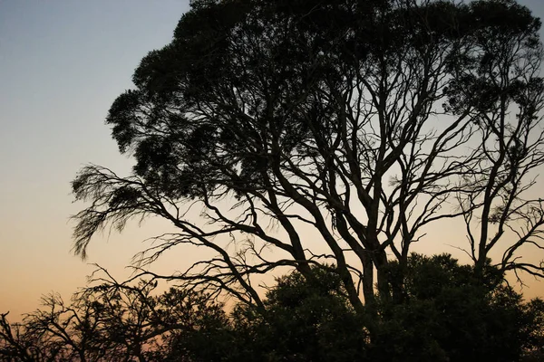 Landscape Outback Sunset — Stock Photo, Image